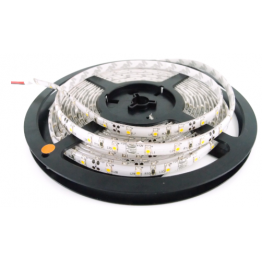 Cord LED 24V : CLED-1009-Y/G/R Shinohara