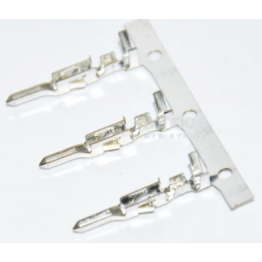 Chân kết nối 5558T (MOLEX)