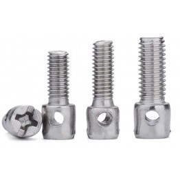 Vít niêm phong (sealing screw) M4 đủ kích thước